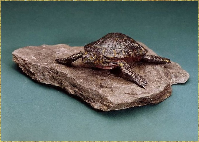 Eastern Painted Turtle